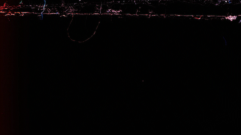 KUROSU.FilmBurnsVisualizer7.gif
