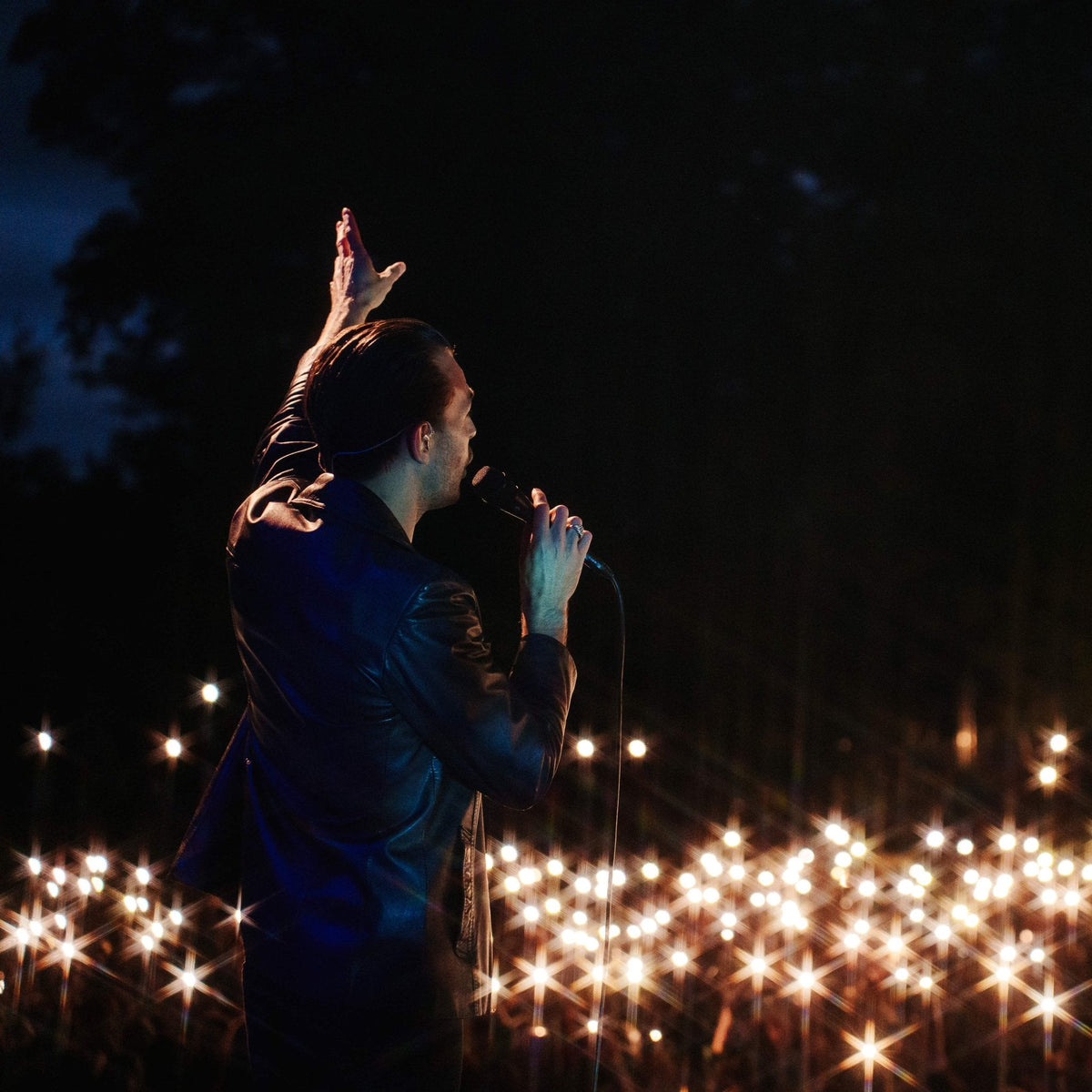 Stars 6x